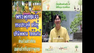 วิสาขบูชา เวียนเทียนด้วยต้นไม้ บูชาคุณพระพุทธเจ้า ช่วยลดโลกร้อน เป็นรมณีย์สถานเหมาะปฏิบัติธรรม