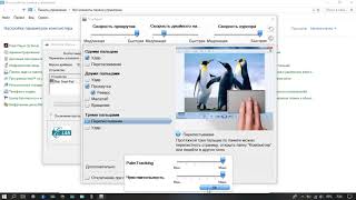 не работает прокрутка решение WIN10 scrolling solution does not work