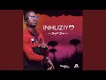 Inhliziyo