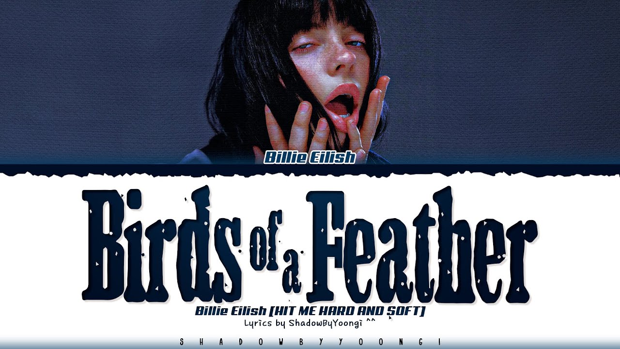 Billie Eilish 'BIRDS OF A FEATHER' Lyrics (Color Coded Lyrics ...