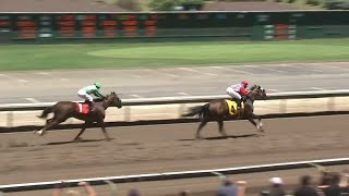 Hundreds impacted by decision to end horse racing in Northern California