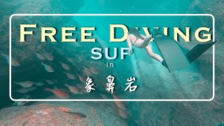 2022今夏最Chill的啤酒Free diving/SUP派對在東北角象鼻岩開跑嘍