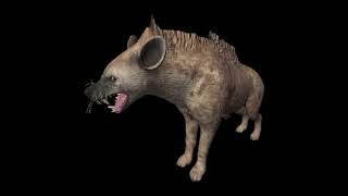 Hyena (ancestors the humankind odyssey) Sounds