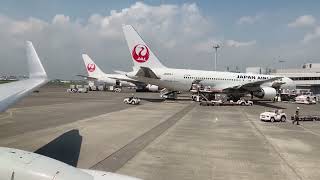 ＃女満別空港から羽田空港　＃空の旅　＃雲の上　＃JAL  ＃飛行機