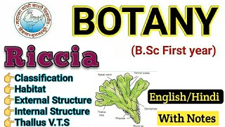 Riccia / BSc 1st year Botany / Riccia in Hindi / Riccia Thallus Structure / VTS of Riccia Thallus