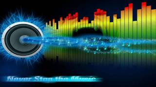 Bassotronics The Bass Will Destroy You reverse & screwed