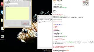 40. LabVIEW link Python by TCPIP _ 2