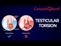 Testicular Torsion