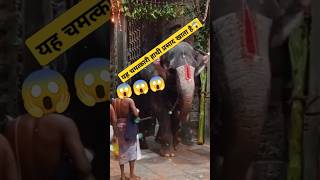 यह चमत्कारी हाथी प्रसाद खाता है😱 | हर हर महादेव  | जय श्री राम #god #elephant #shorts