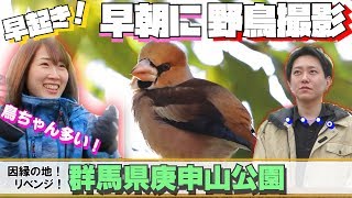 かわいい鳥たちの世界！早朝の野鳥撮影が鳥天国だった