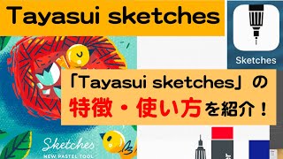 【スマホアプリ紹介】Tayasui sketchesの特徴・基本操作を紹介！