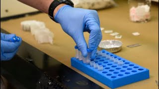 LILLEY UNLEASHED: Fentanyl - is it a crisis or a challenge in Canada?