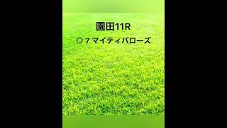 2022年3月8日(火) 地方競馬予想集