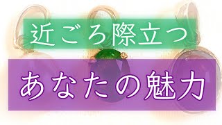 【視線👀くぎ付け⁈】❤️😘近ごろ際立つあなたの魅力😘❤️【タロット】【印象】【オラクル】