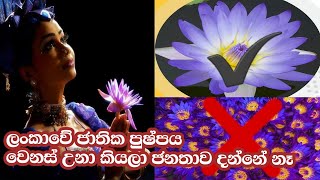 ලංකාවේ ජාතික පුෂ්පය වෙනස් උනා කියලා ජනතාව දන්නේ නෑ | Channel R