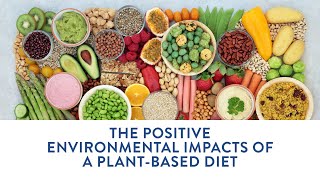 Plant-Based Eating: The Positive Environmental Impacts of a Plant-Based Diet