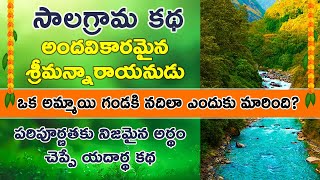 సాలగ్రామ కథ, అందవికారమైనశ్రీమన్నారాయనుడు ఒక వేశ్య గండకి నదిలా ఎందుకు మారింది? #salagram  | aleti