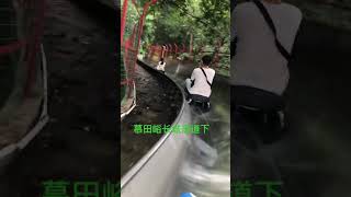 慕田峪长城旅游景点打卡！滑道下#shorts