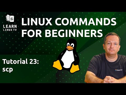 Linux Commands for Beginners 23 – Transfer Files with scp