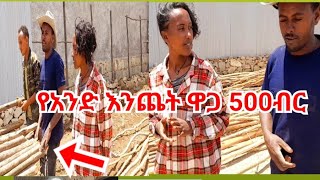 🔴Ethiopia የቤት መስርያ የእንጨት ዋጋ