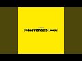 Forest Breeze Loops
