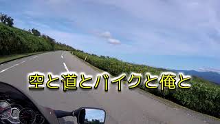 【西伊豆スカイライン】GSX-1300R 隼 【ハヤブサ】