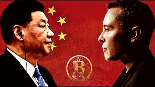 Ep212: Bitcoin Will Crash 50% + China vs. Tesla