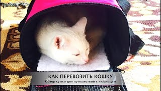 Как перевозить кошку Обзор сумки переноски