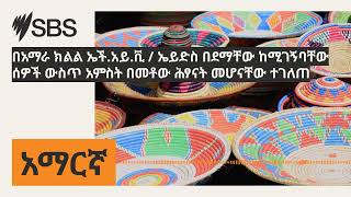 በአማራ ክልል ኤች.አይ.ቪ / ኤይድስ በደማቸው ከሚገኝባቸው ሰዎች ውስጥ አምስት በመቶው ሕፃናት መሆናቸው ተገለጠ | SBS Amharic - ኤስ.ቢ.ኤስ አማርኛ