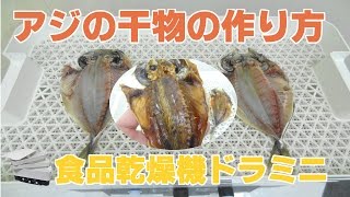 [自宅で干し魚]アジの干物の作り方｜家庭用乾燥機