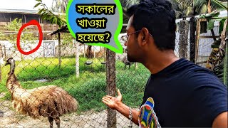 arambagh tree house এ এই সব হয় দেখে তো অবাক😱|arambagh tree house|tree house resort|tree house