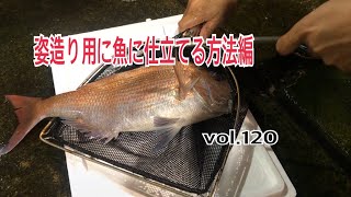 姿造り用に魚を仕立てる方法 編 vol.120