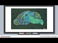 Introduction to Mass Spectrometry Imaging