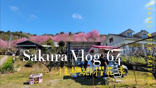 大水牛與小老虎露營2024櫻花季 | Cherry Blossom Season Camping | 桜の季節キャンプ |  타오위안 벚꽃 시즌 캠핑 | 第64露 櫻花大爆發～長榮，觀星，恩愛農場