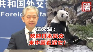 【外交部】旅日大熊猫“香香”今日回国 汪文斌欢迎日本民众来中国看望它