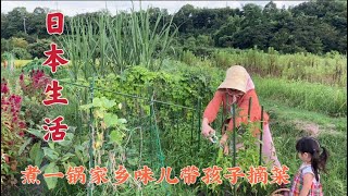 日本生活vlog/自己种的花生做成家乡味儿！带女儿去菜地摘菜