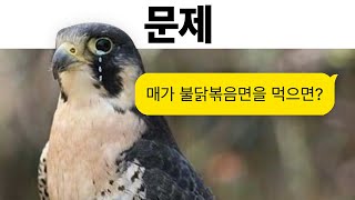 뭘까요?