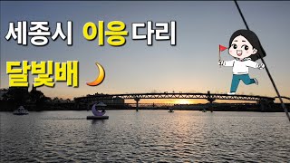 세종시 이응다리 달빛배 타기! 세종시 여행 세종시 놀거리