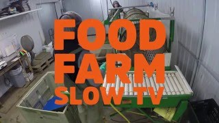 Carrot Washing - Food Farm Slow TV - Extra Slow Edition