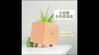 綠植辦公小物