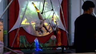 First Run of Stellaria's Interactive Show at the MAH's Frequency Festival