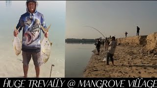 HUGE TREVALLY IN MANGROVE VILLAGE ABU DHABI || ABU DHABI FISHING