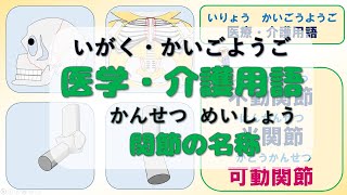 【g009】医学・介護用語　関節の名称