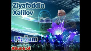 Heyif ay cavanlıg ayrıldın getdin Ziyafəddin Xəlilov segah muğam, şeir,qəzəl,kənd toyu,super bir toy