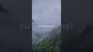 Ты покакала? Are you pooped? #shortvideo #shots