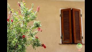 Surroundings of Camaiore, Tuscany.