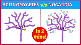 Actinomycetes Vs Nocardia: Points you need to know