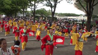 濱長 花神楽　～2014スーパーよさこい・１日目(ＮＨＫ前ストリート)