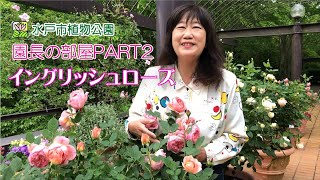 【園長の部屋PART2】第58回イングリッシュローズ【水戸市植物公園】