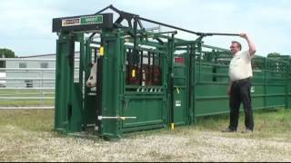 Lakeland Group   Fully immobilizing a 1600lb cow in the squeeze chute   Field Day 2011